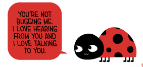 Screenshot 2017-05-25 18.10.06